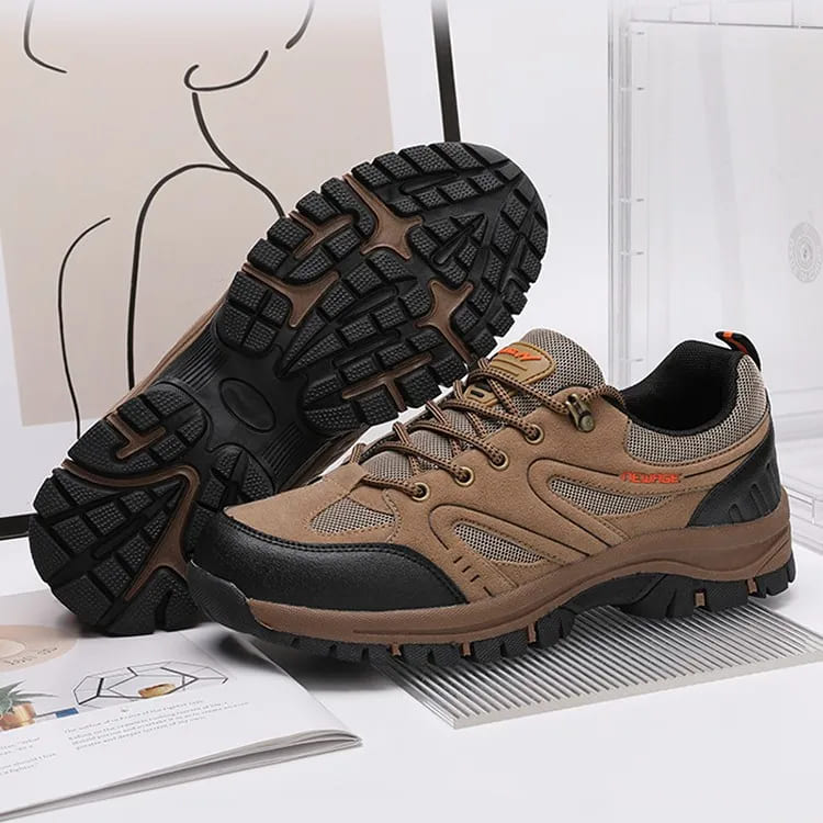 Ventura Light Hiking Shoes